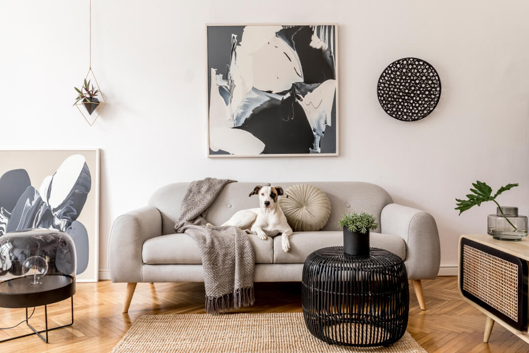 Get coverage for your home contents with InsureHome